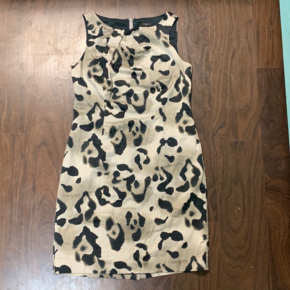 Beautiful Ann Taylor Dress